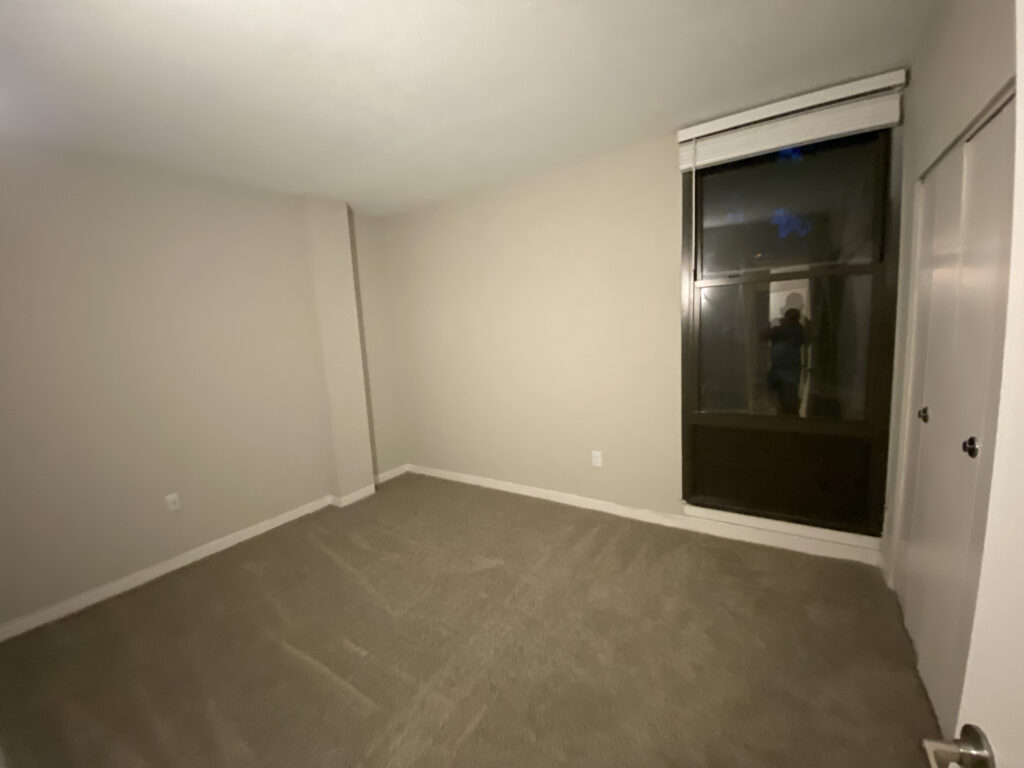 Paint, Carpet, Drywall, Light Fixture