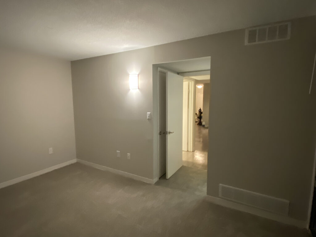 Paint, Carpet, Drywall, Light Fixture